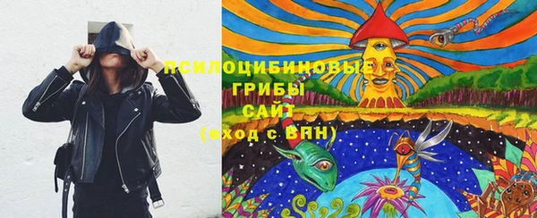 spice Протвино