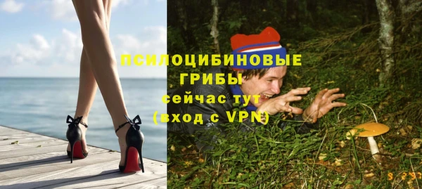 гидра Абдулино
