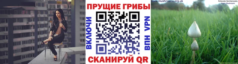 как найти   Зубцов  Псилоцибиновые грибы мухоморы 